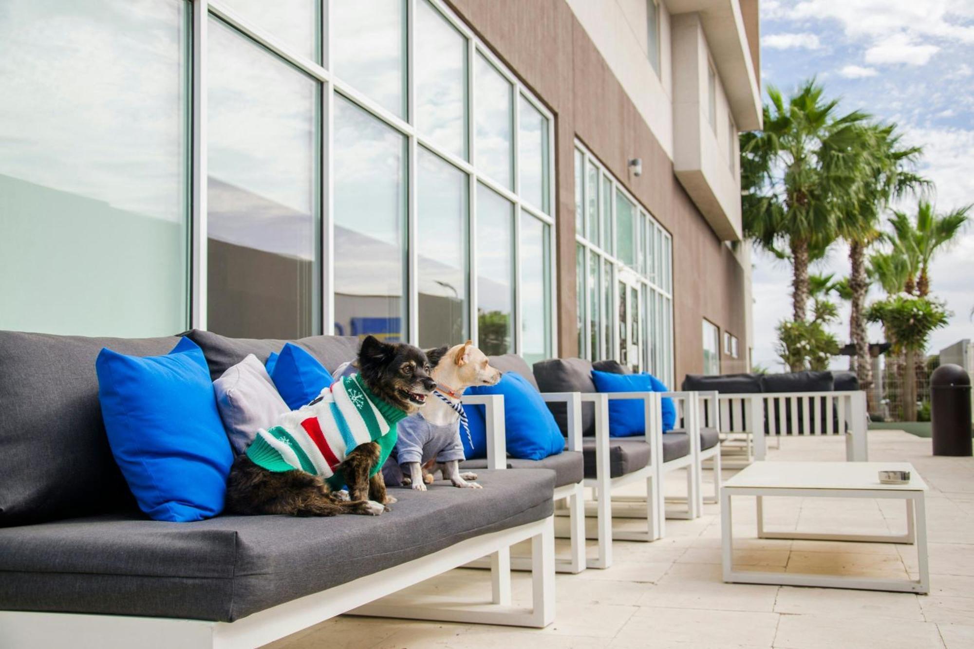 Courtyard By Marriott Hermosillo Eksteriør billede